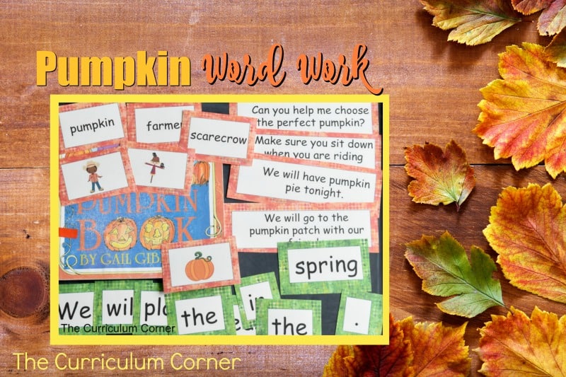 This pumpkin word work set is the perfect set of pumpkin patch word work for your fall!
