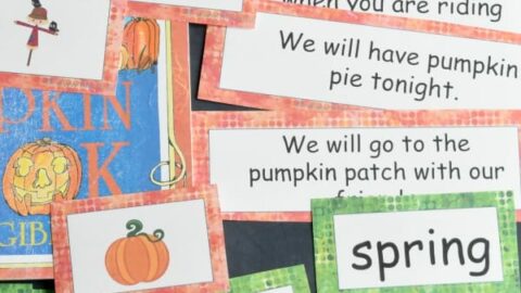 Image for Pumpkin Patch Word Work Set