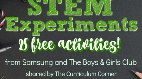 Image for Summer of STEM Experiments