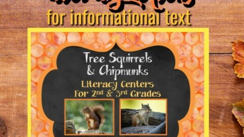 Image for Tree Squirrels & Chipmunks Literacy Centers