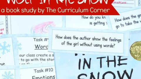 Image for Book Study: Wolf in the Snow