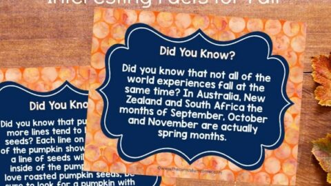 Image for Did You Know? (Facts for Fall)
