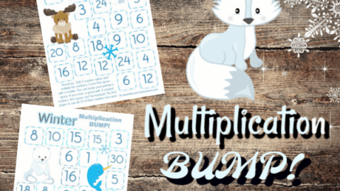 Image for Arctic Animals Multiplication BUMP!
