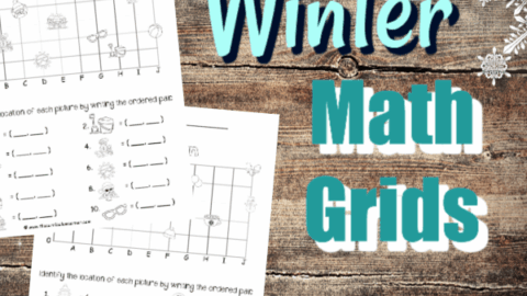 Image for Winter Math Grids (Coordinate Grids)