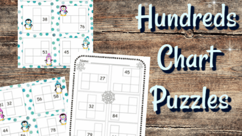 Image for Penguins Hundreds Chart Puzzles