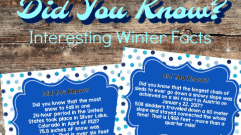 Image for Did You Know? (Facts for Winter)
