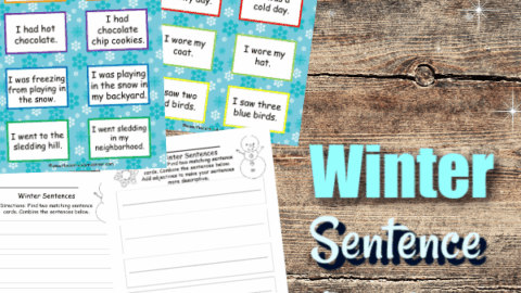 Image for Combining Winter Sentences