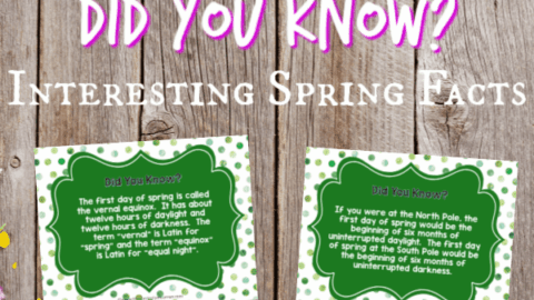 Image for Spring Facts: Did You Know?
