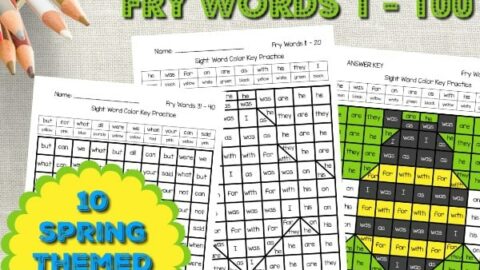Image for Spring Fry Word Hidden Pictures (Words 1 - 100)