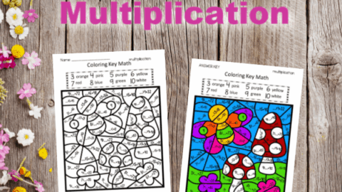 Image for Spring Color Key Multiplication