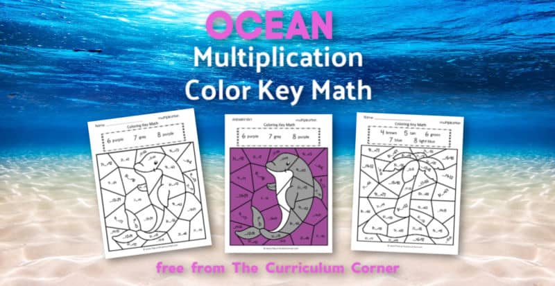 Ocean Multiplication Color Key