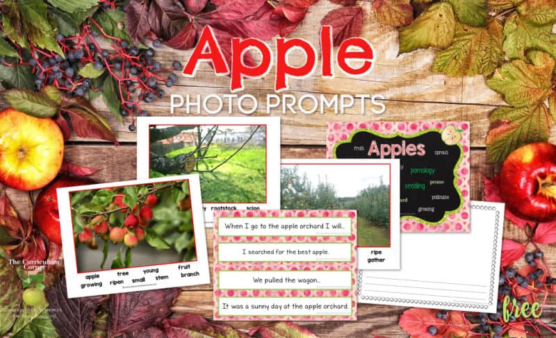 apple photo prompt set