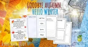 Book Study: Goodbye Autumn, Hello Winter