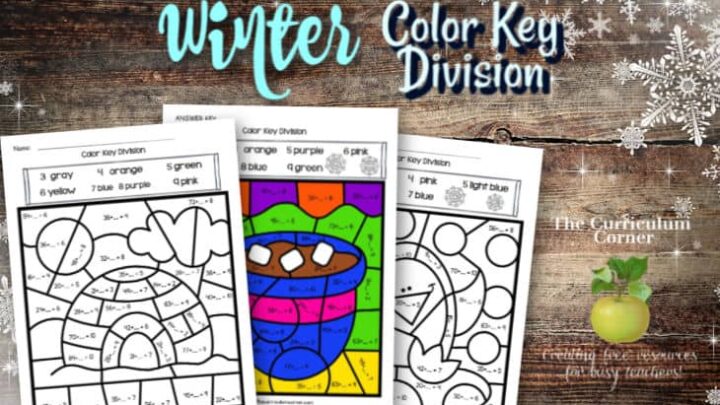 Winter Color Key Division