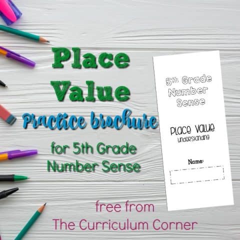 place value brochure feature - The Curriculum Corner 123