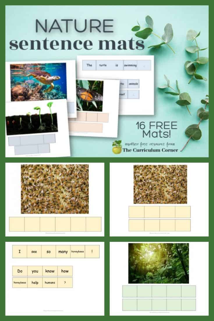 Nature Sentence Mats - The Curriculum Corner 123