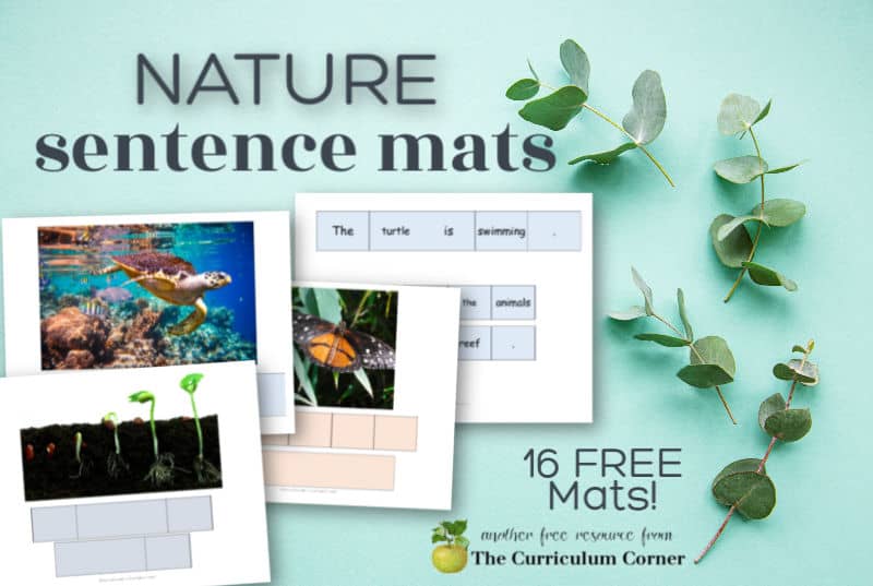 Nature Sentence Mats