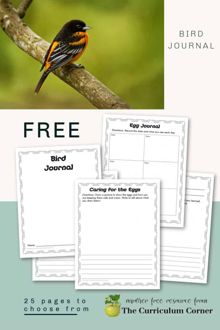 Bird Journal for Students - The Curriculum Corner 123