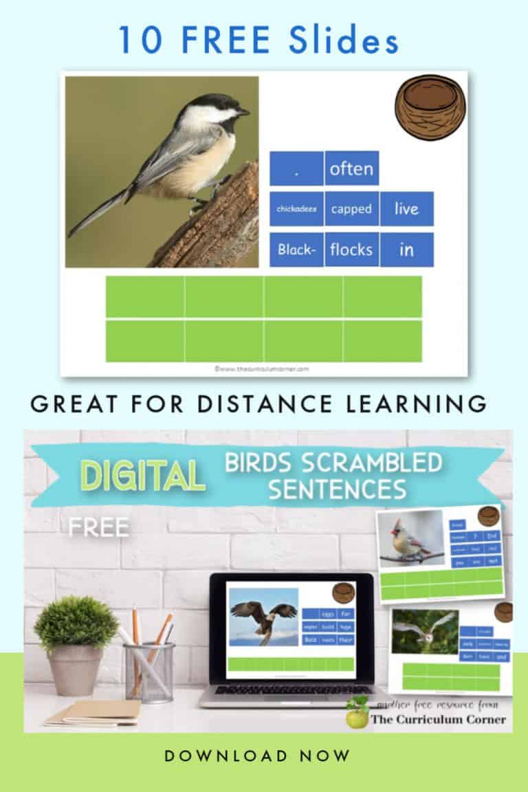 Digital Birds Scrambled Sentences The Curriculum Corner 123