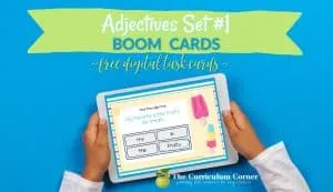 Adjective Boom Cards Facebook Image