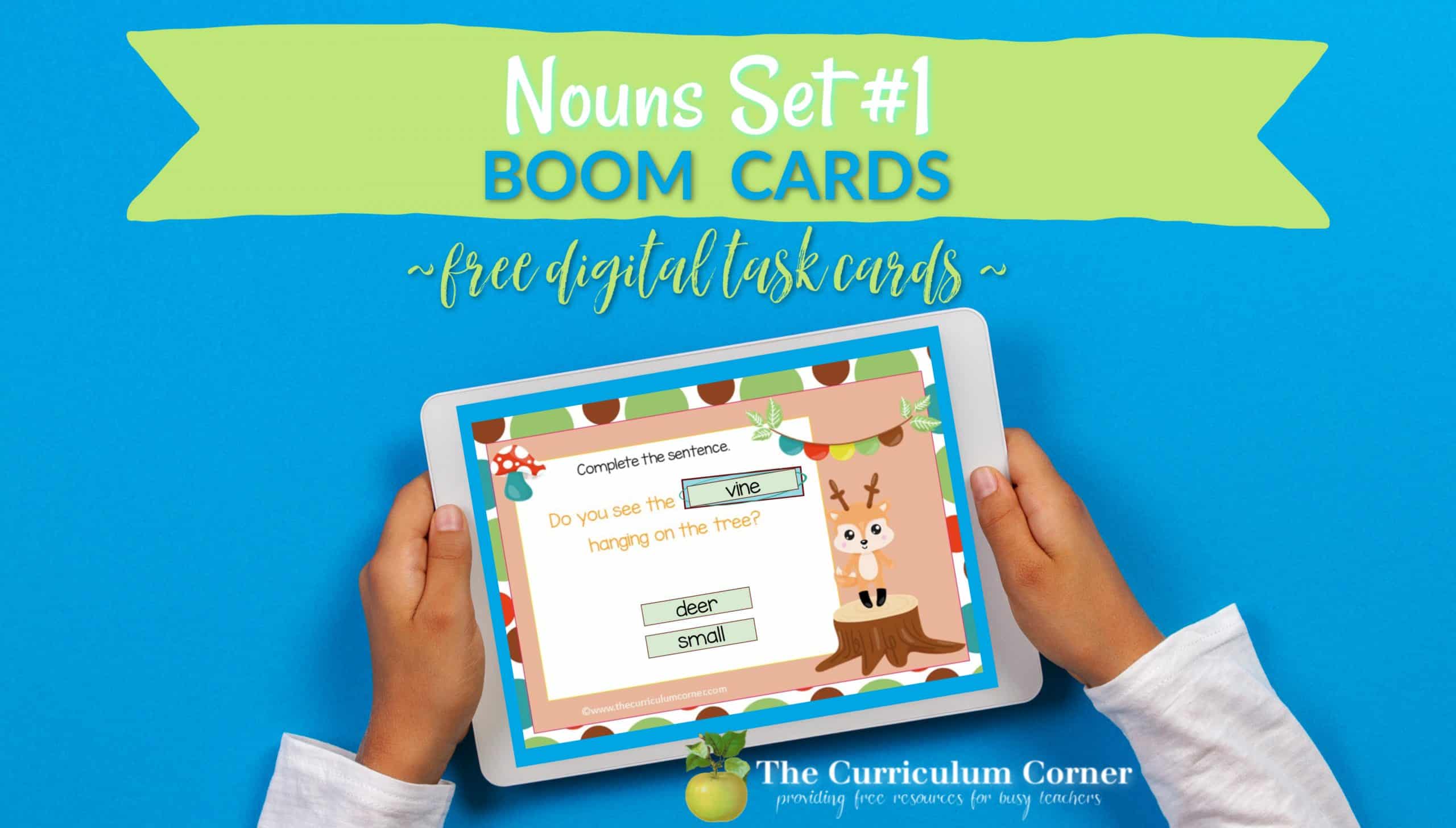Boom Cards Nouns Set 1 The Curriculum Corner 123