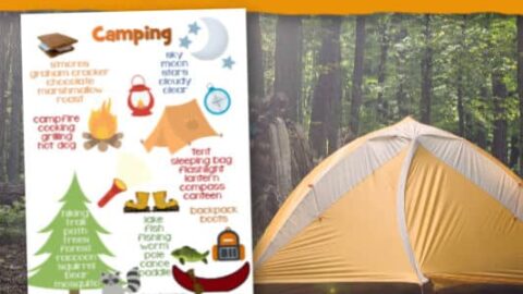 Image for Camping Word Wall