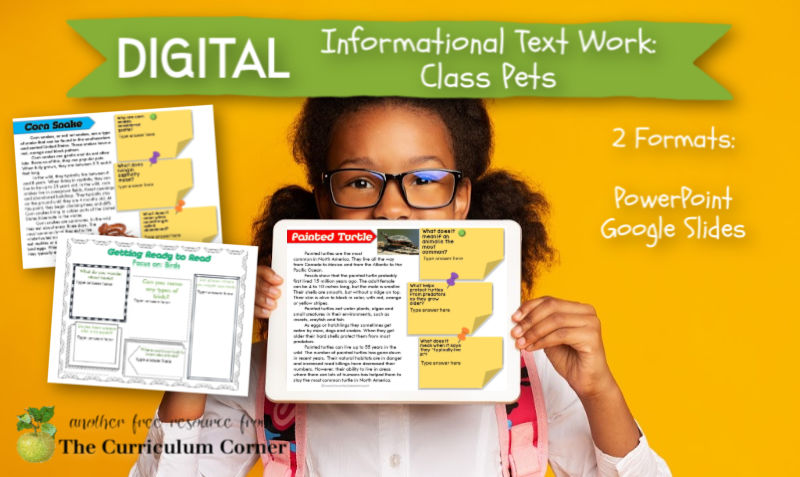 This digital informational text set focuses on class pets. Add this free set to your distance learning collection!