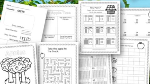 Image for Apple Picking No Prep Pages