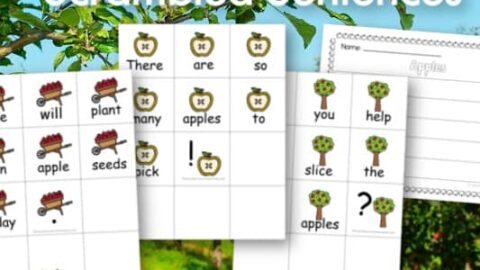 Image for Apples Scrambled Sentences