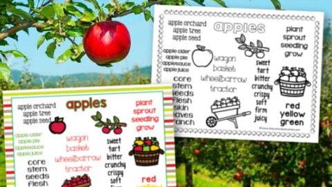 Image for Apple Word Wall