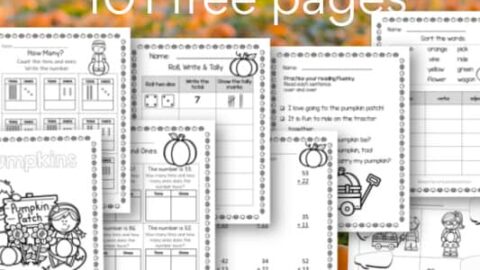 Pumpkin no prep worksheets for first and second grade