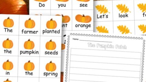 Image for Pumpkin Scrambled Sentences