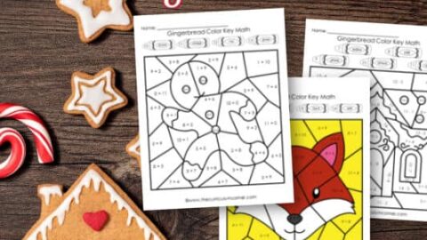Image for Gingerbread Color Key (Addition & Subtraction)