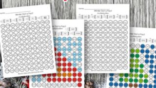 Image for Winter Dab a Dot Multiplication Facts
