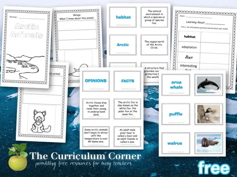 This free arctic animals collection for teachers is designed to help you begin creating an arctic unit of study in your classroom.