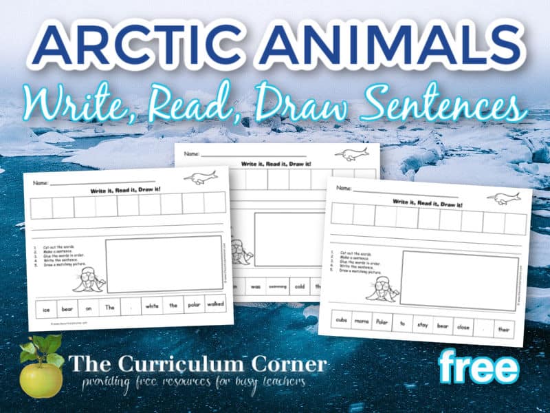 Use this set of Arctic Animals Write It! Read It! Draw It! sentences as a scrambled sentence set.