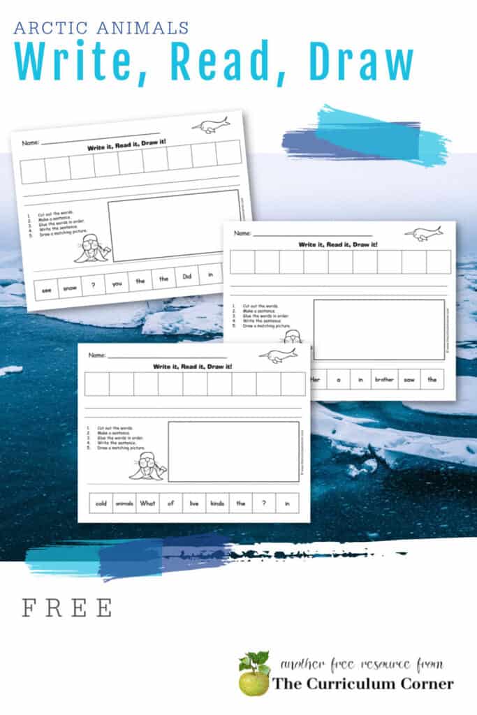 Use this set of Arctic Animals Write It! Read It! Draw It! sentences as a scrambled sentence set.
