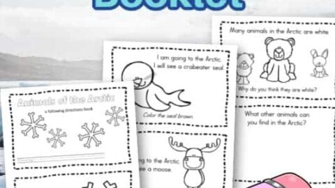 Image for Arctic Animals Booklet