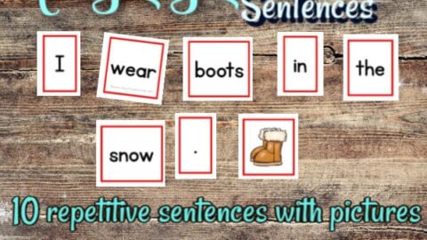 Image for Pocket Chart Sentences