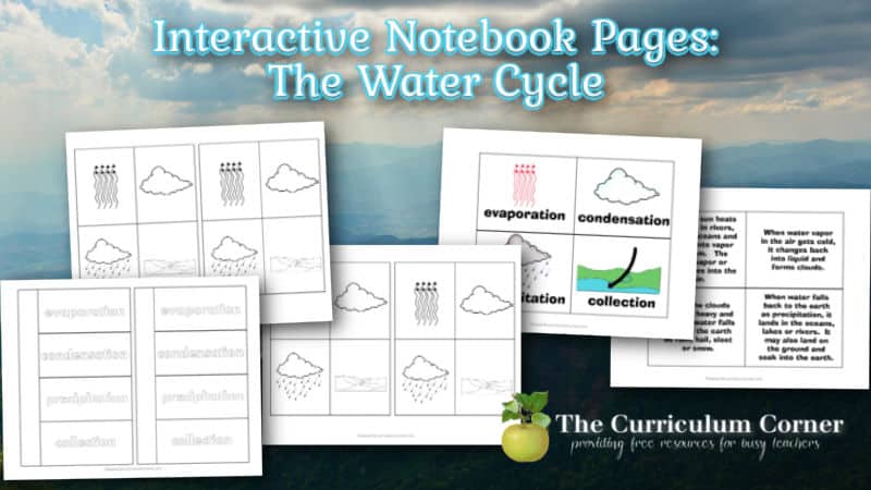 This water cycle interactive notebook pages collection is designed to fit into your interactive science notebooks.