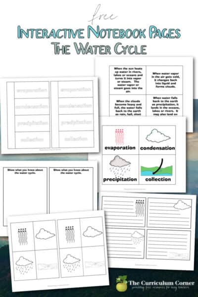 The Water Cycle Interactive Notebook Pages - The Curriculum Corner 123
