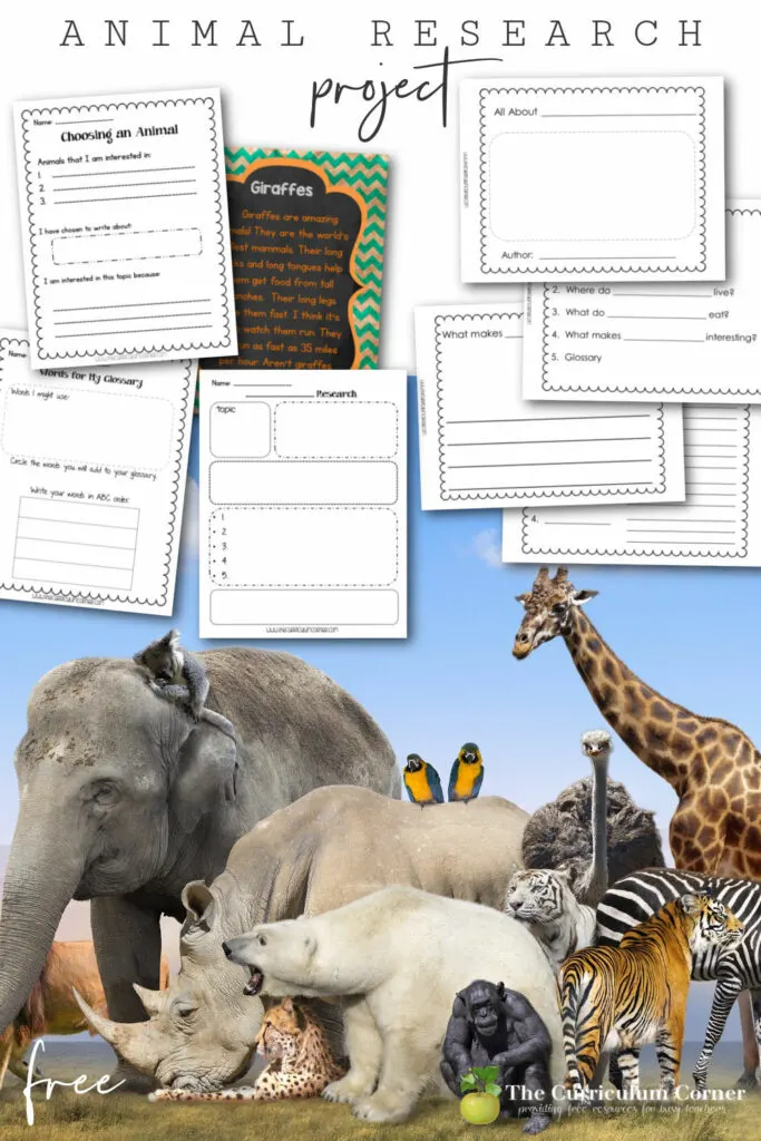 This free animal research project will provide you with a writing unit of study that will help you build excitement about writing informational text in your classroom.