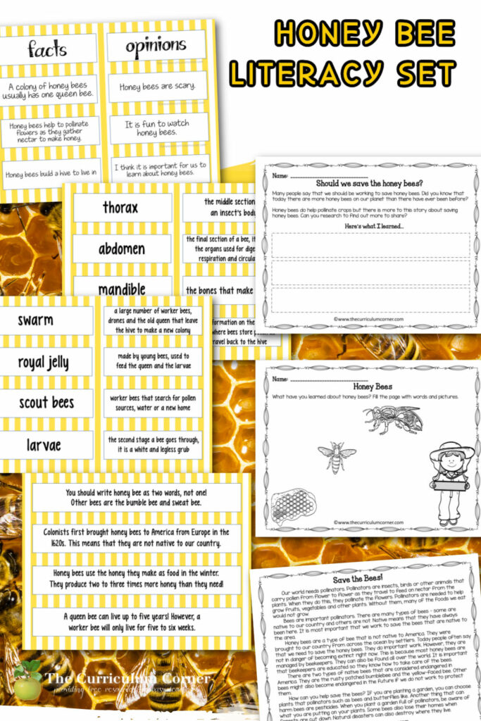 This honey bees literacy set will help your students practice literacy skills as they learn about honey bees.