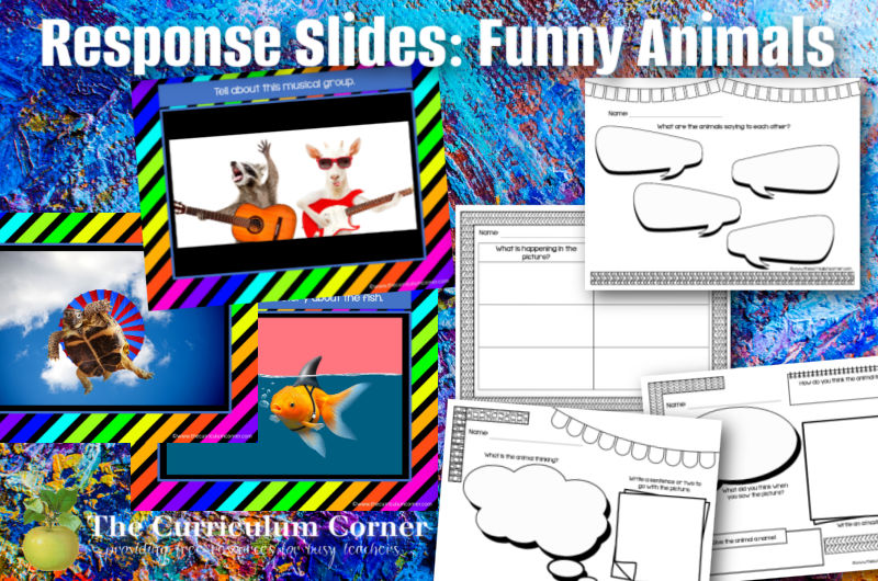 Use these funny animal response slides as a bell ringer or writing activity in your classroom.