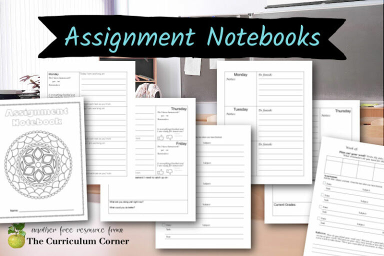 Assignment Notebooks - The Curriculum Corner 123