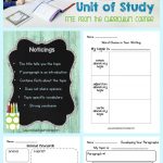 lesson plan writing a research paper