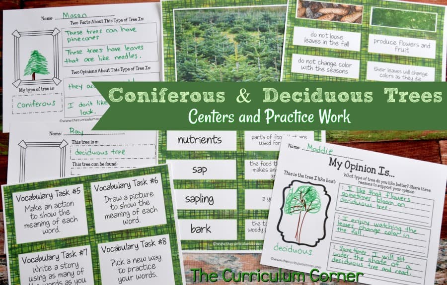 Deciduous & Coniferous Trees Science Informational Text Activities from The Curriculum Corner FREE