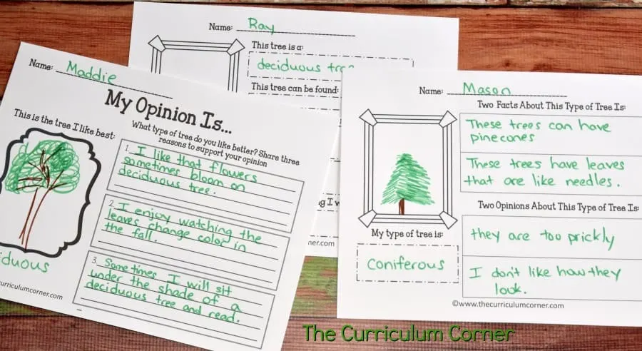 Deciduous & Coniferous Trees Science Informational Text Activities from The Curriculum Corner FREE