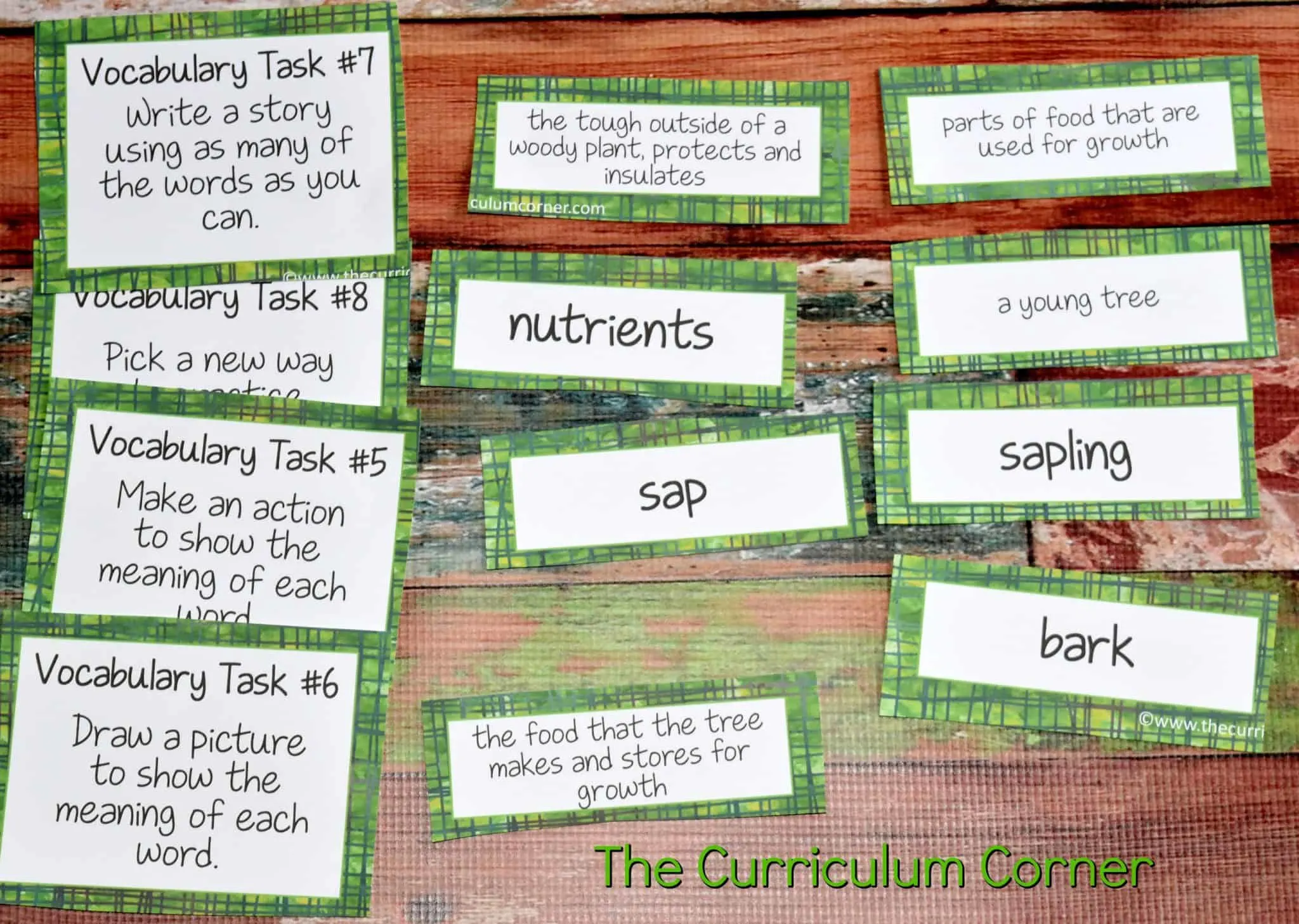 Deciduous & Coniferous Trees Science Informational Text Activities from The Curriculum Corner FREE