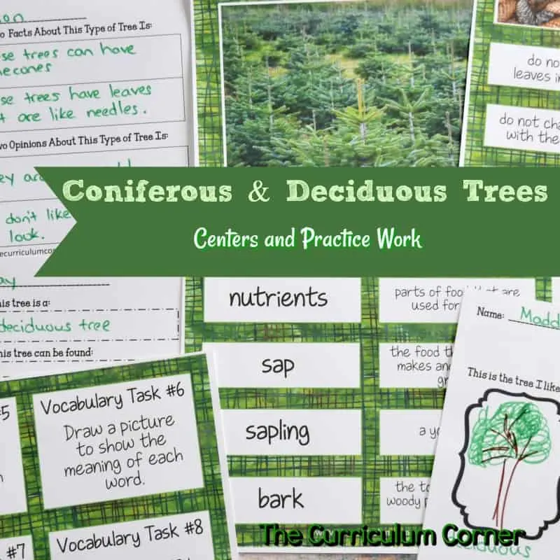 Deciduous & Coniferous Trees Science Informational Text Activities from The Curriculum Corner FREE